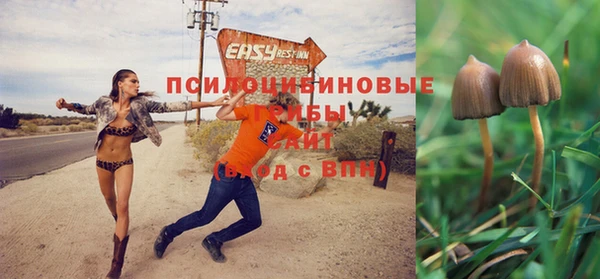 стафф Алзамай