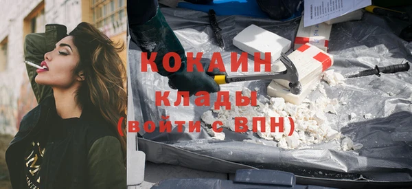 стафф Алзамай