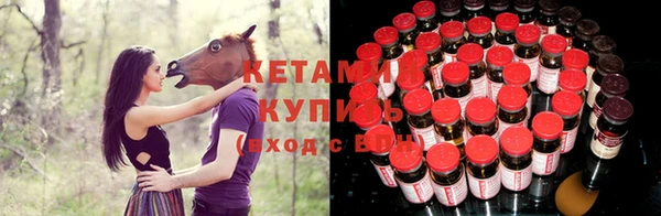 стафф Алзамай