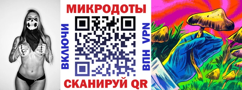 Псилоцибиновые грибы Psilocybine cubensis  где найти   Обнинск 