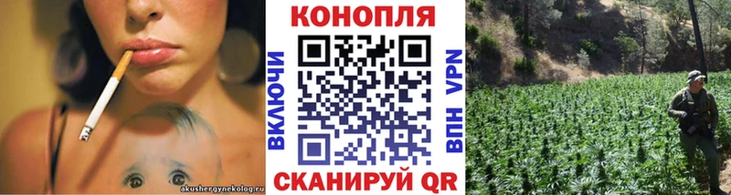 что такое   Обнинск  Конопля индика 
